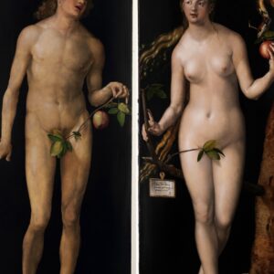 Accesorios auto draft