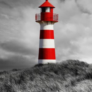 cuadro monocromático