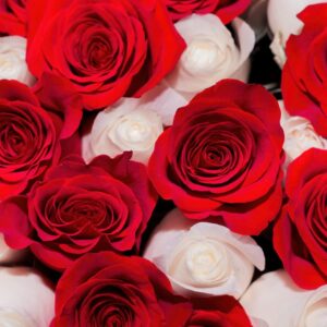 cuadro monocromático