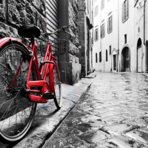 cuadro monocromático